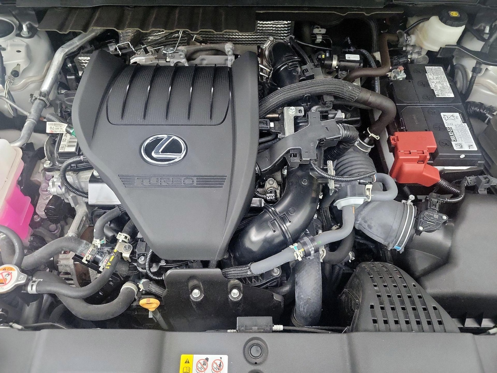 2025 Lexus NX 350 - Photo 20