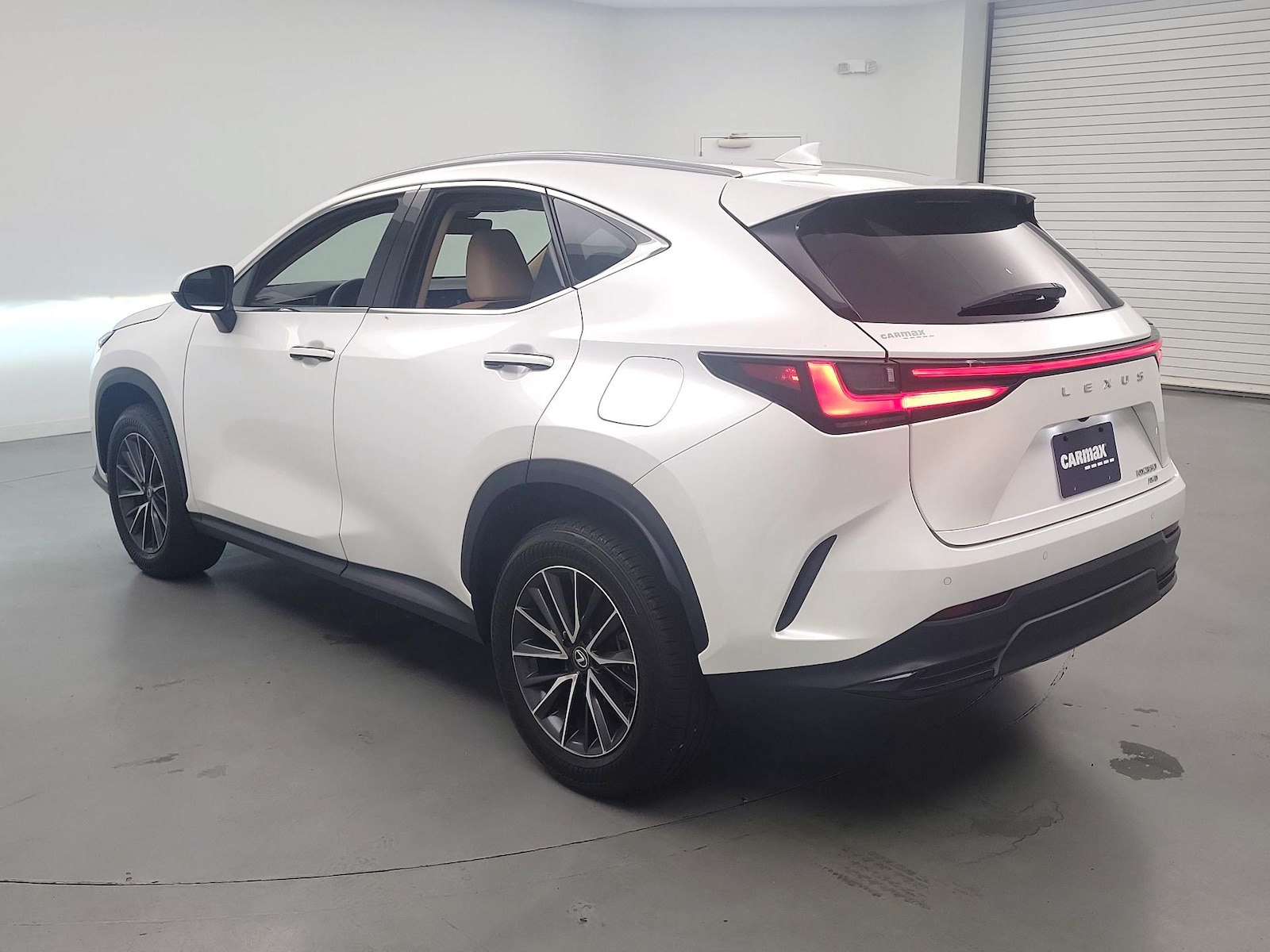 2025 Lexus NX 350 - Photo 7
