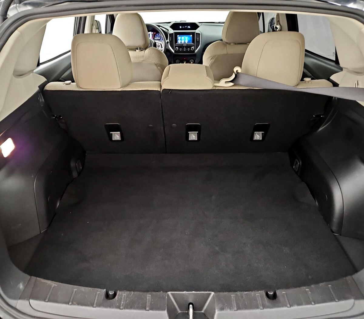 Trunk/Cargo (Seats Up)