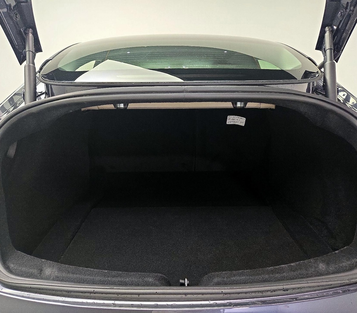 Trunk/Cargo (Seats Up)