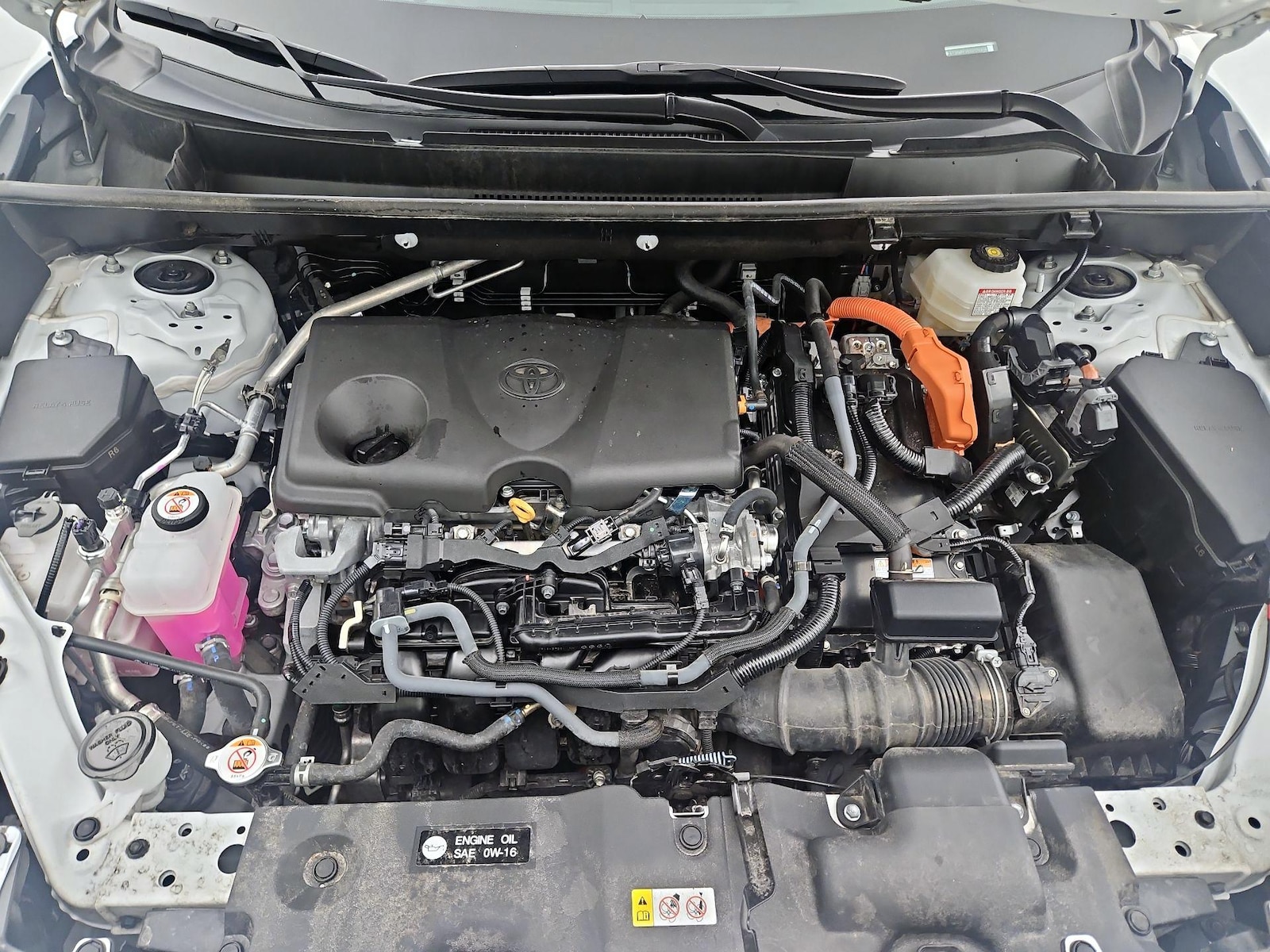 2025 Toyota RAV4 XLE - Photo 22