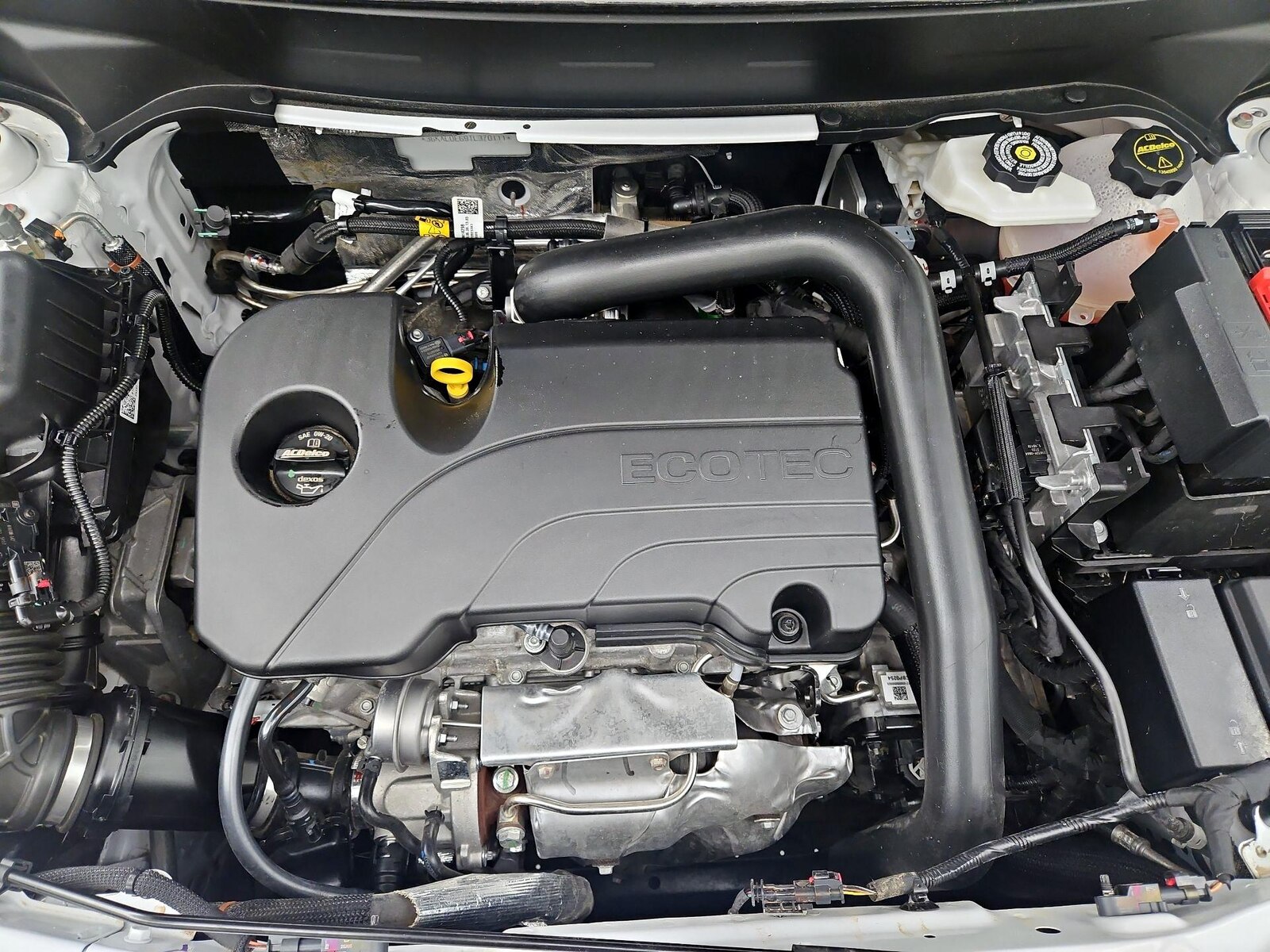 2026 GMC Terrain Elevation - Photo 22