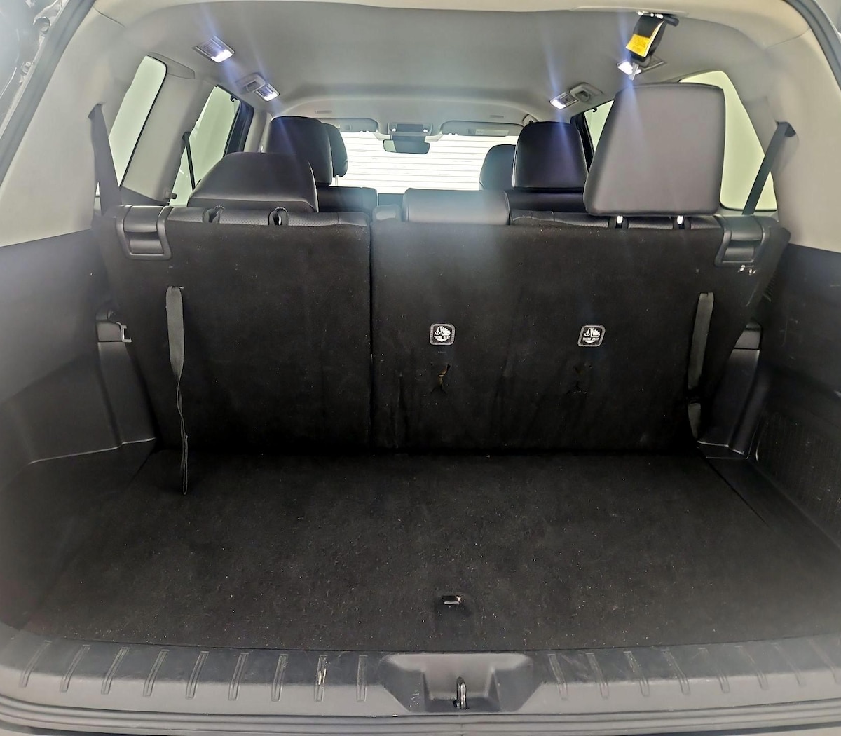 Trunk/Cargo (Seats Up)