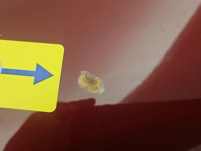 Condition detail