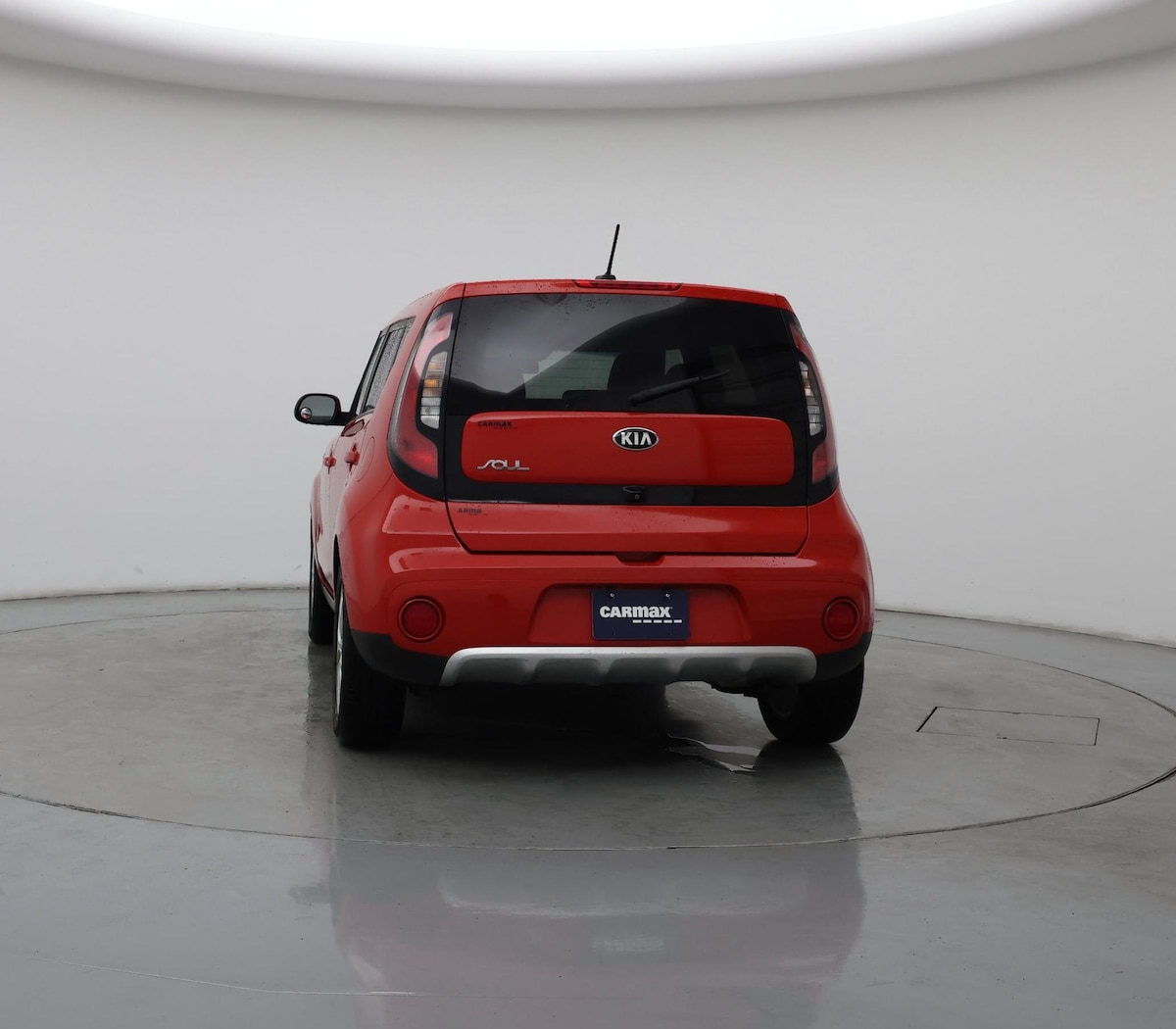 Rear