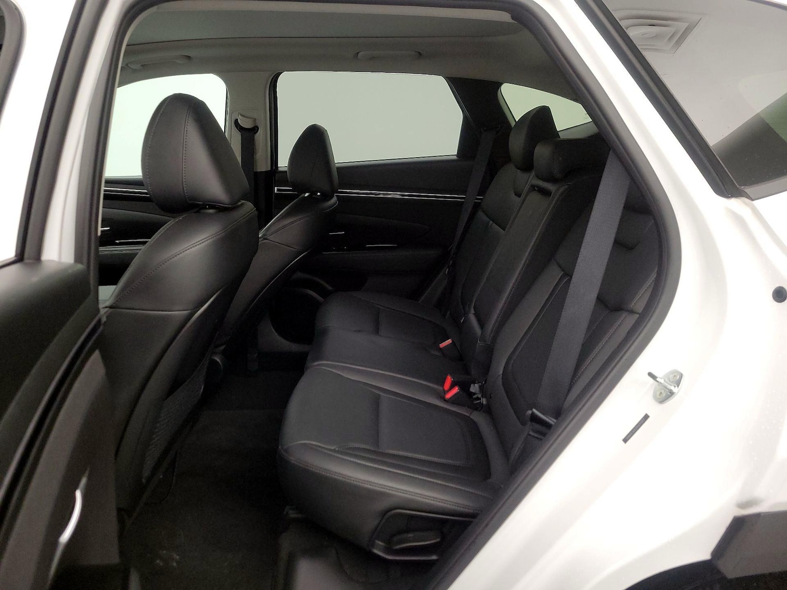 Rear Seat Heaters