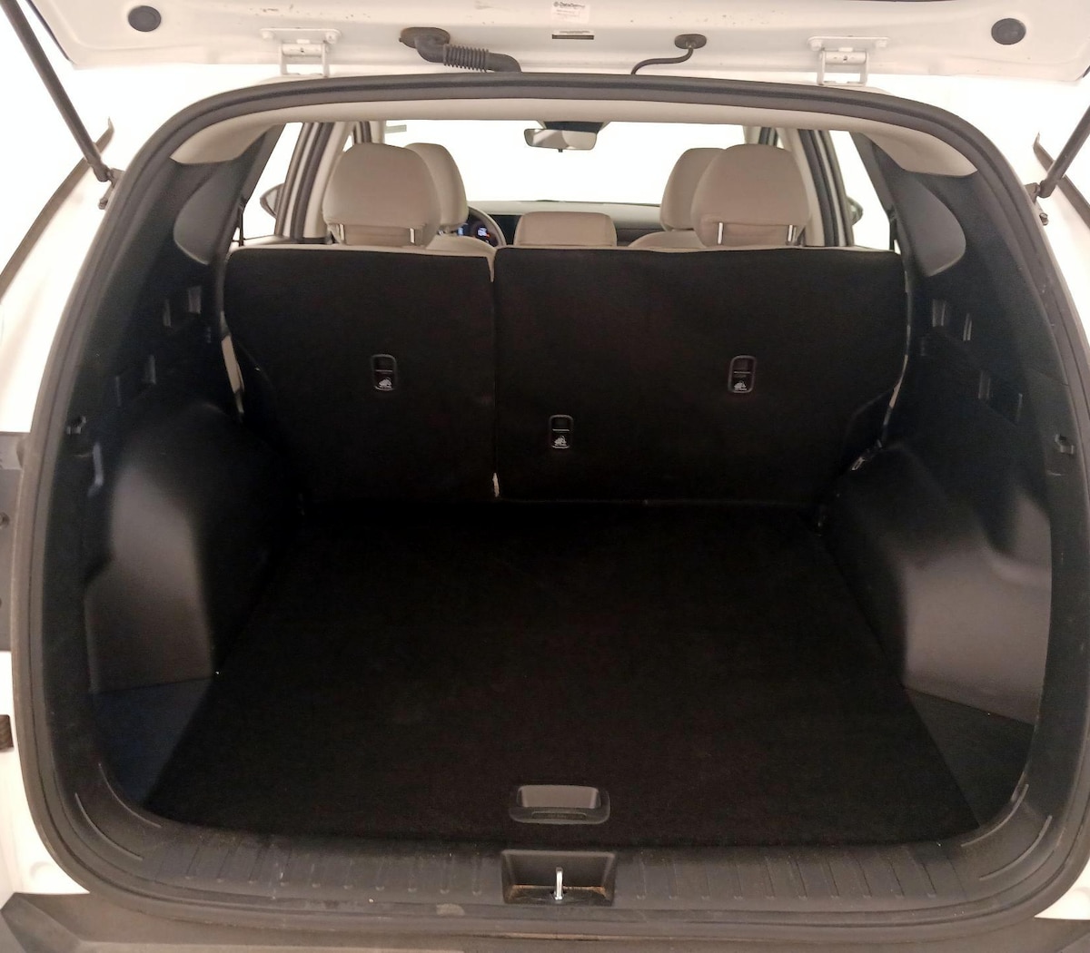 Trunk/Cargo (Seats Up)