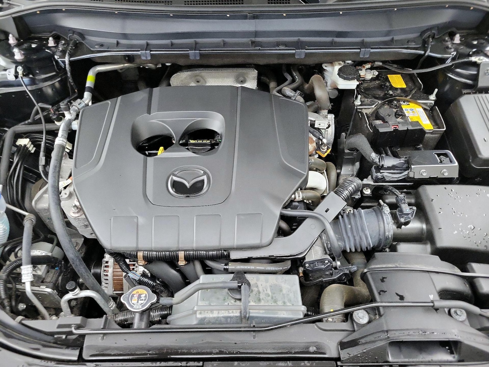 2025 Mazda CX-5 S Preferred package - Photo 22