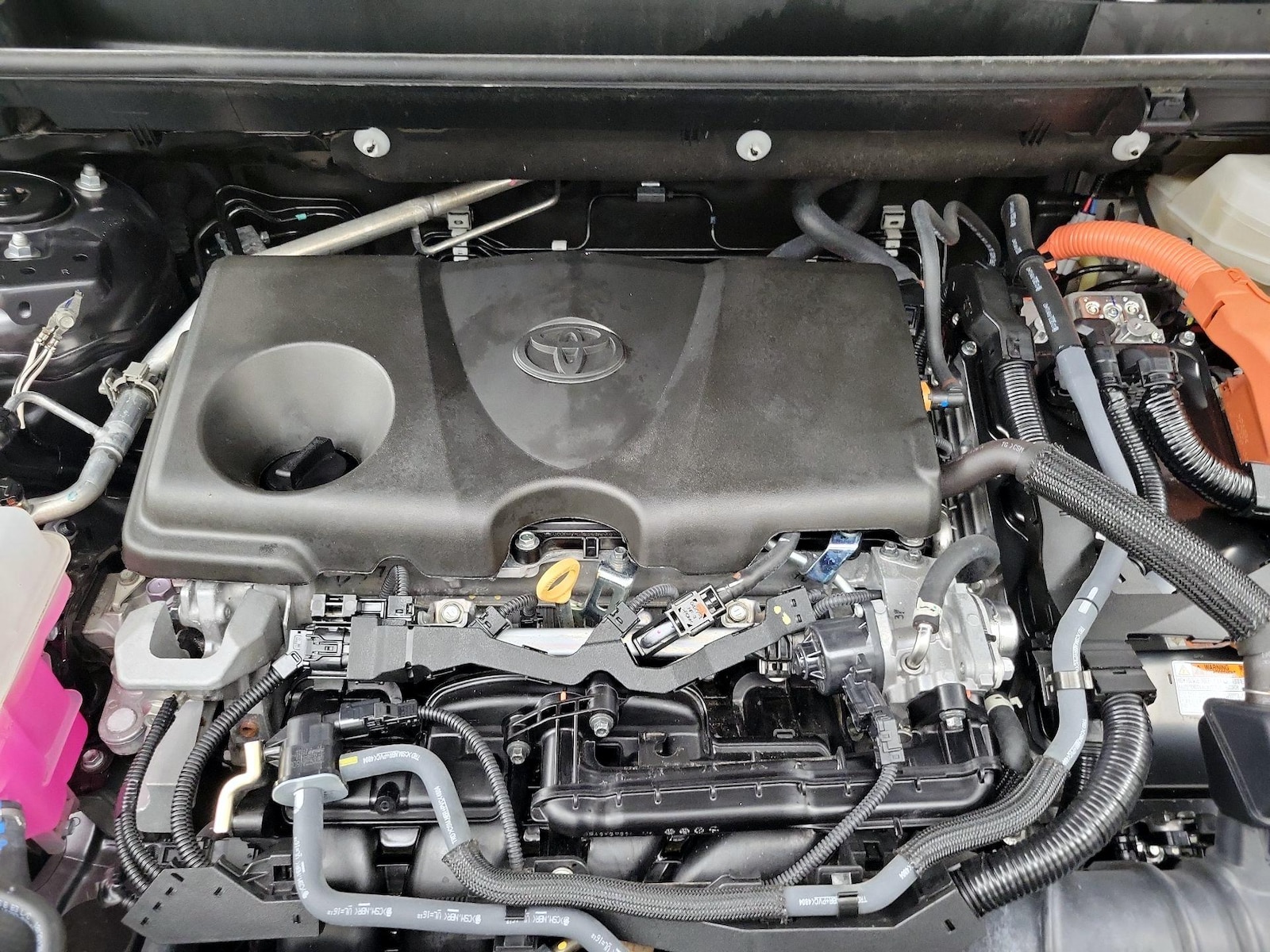 2025 Toyota RAV4 XLE - Photo 23