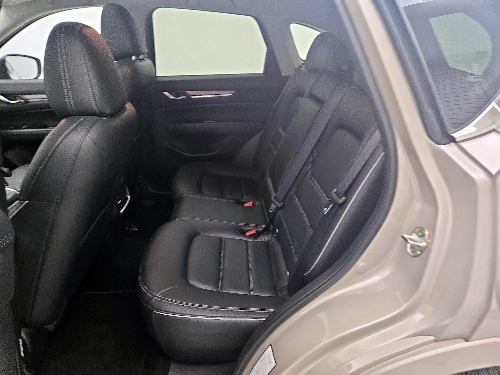 Rear Seat Heaters