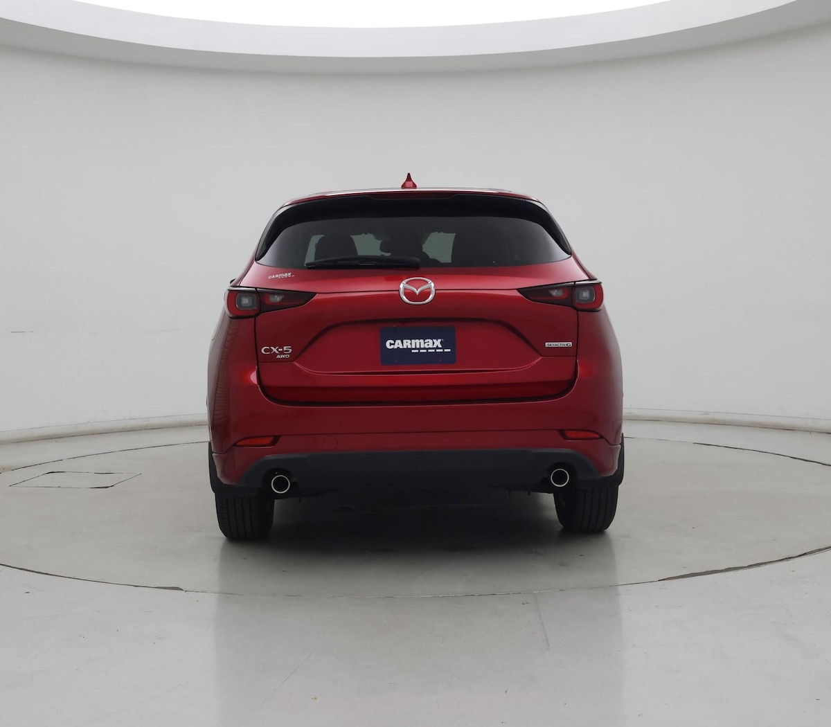 Rear
