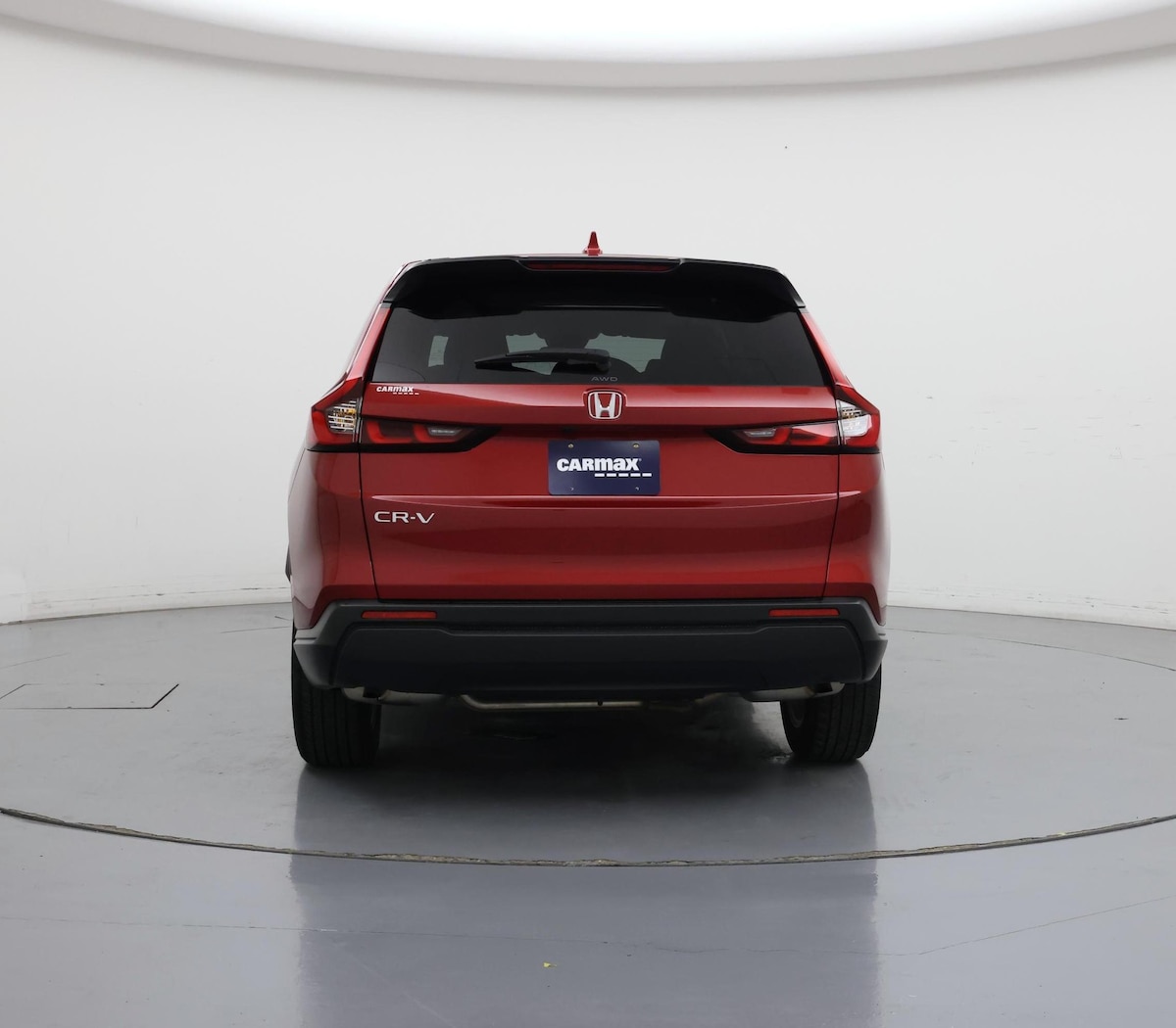 Rear