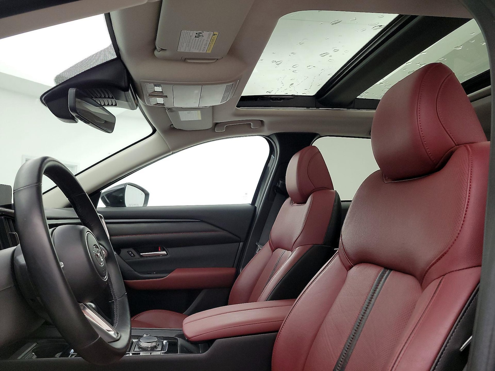 Panoramic Sunroof