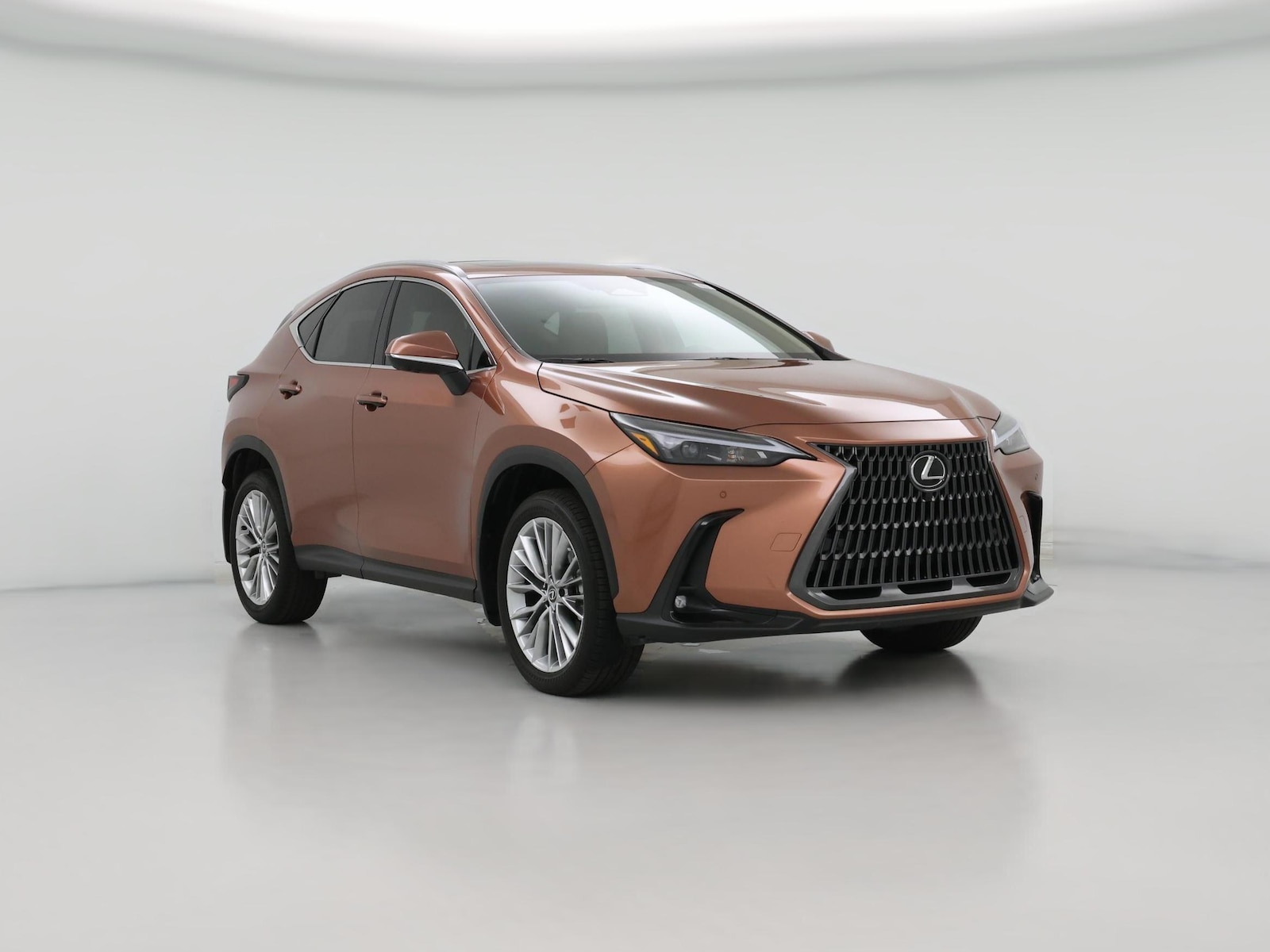 2025 Lexus NX