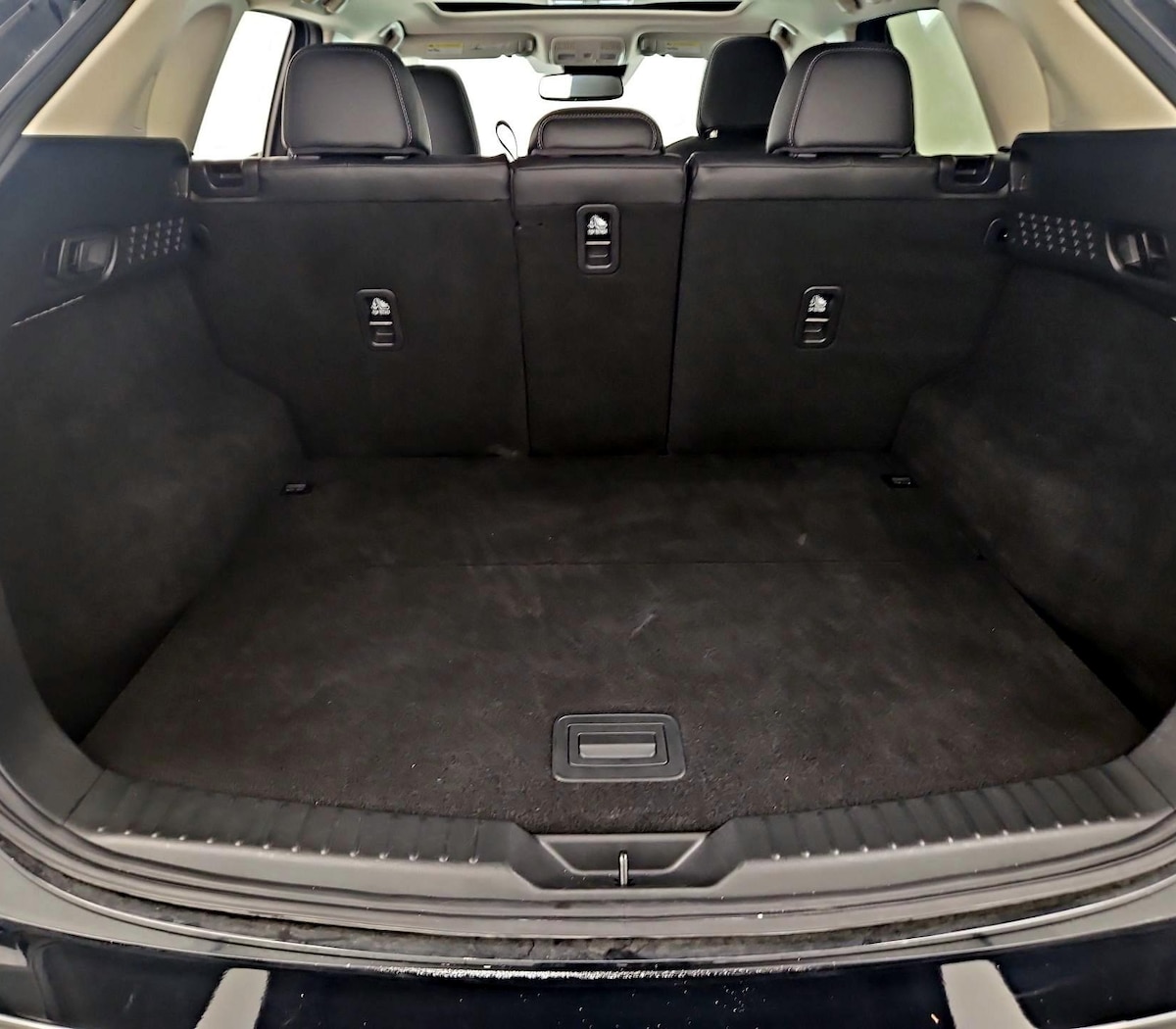 Trunk/Cargo (Seats Up)