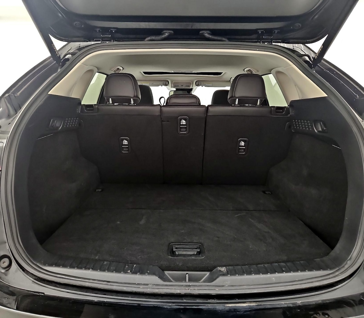Trunk/Cargo (Seats Up)