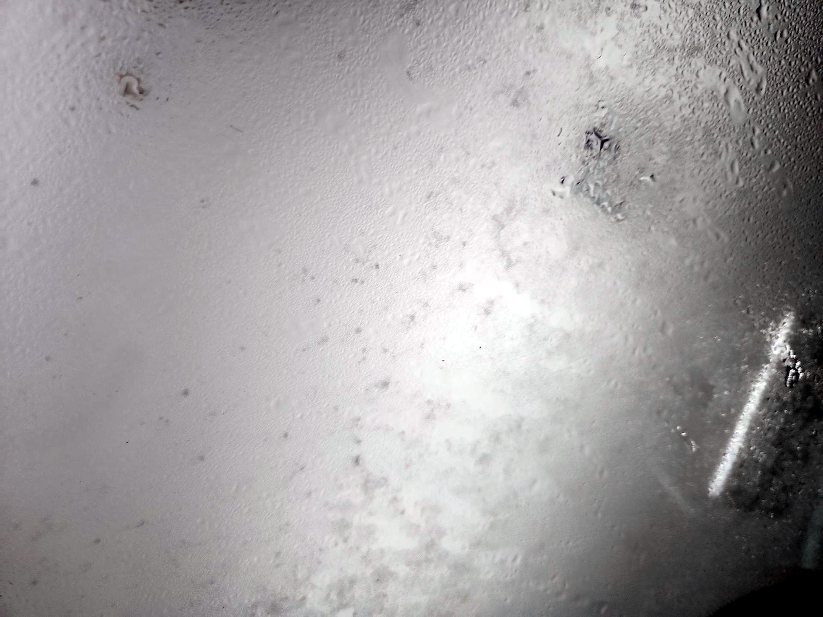 Skylight(s) & Overhead Airbags