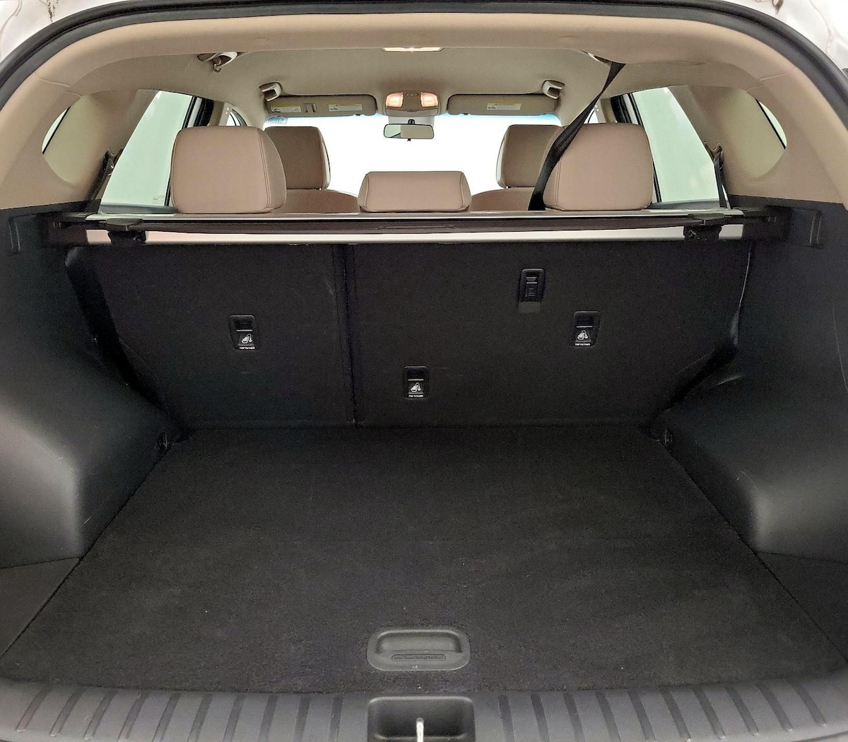 Trunk/Cargo (Seats Up)