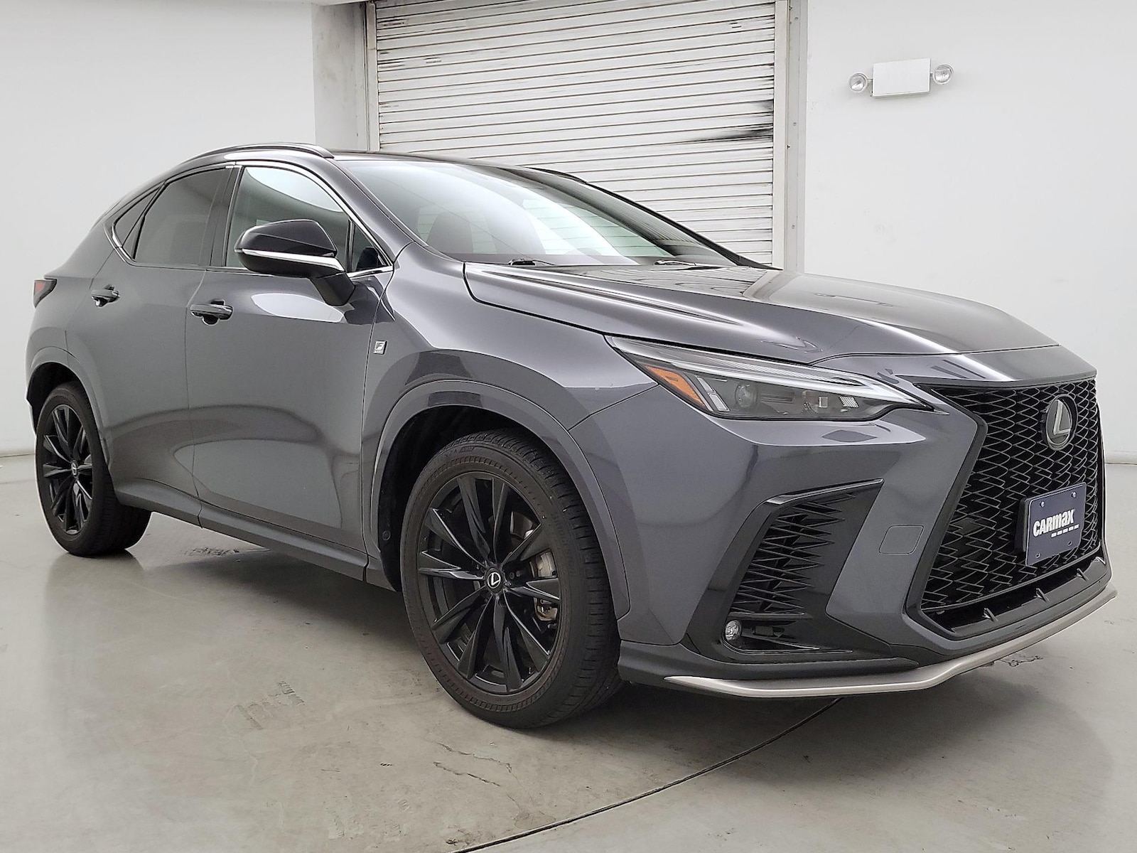 2024 Lexus NX