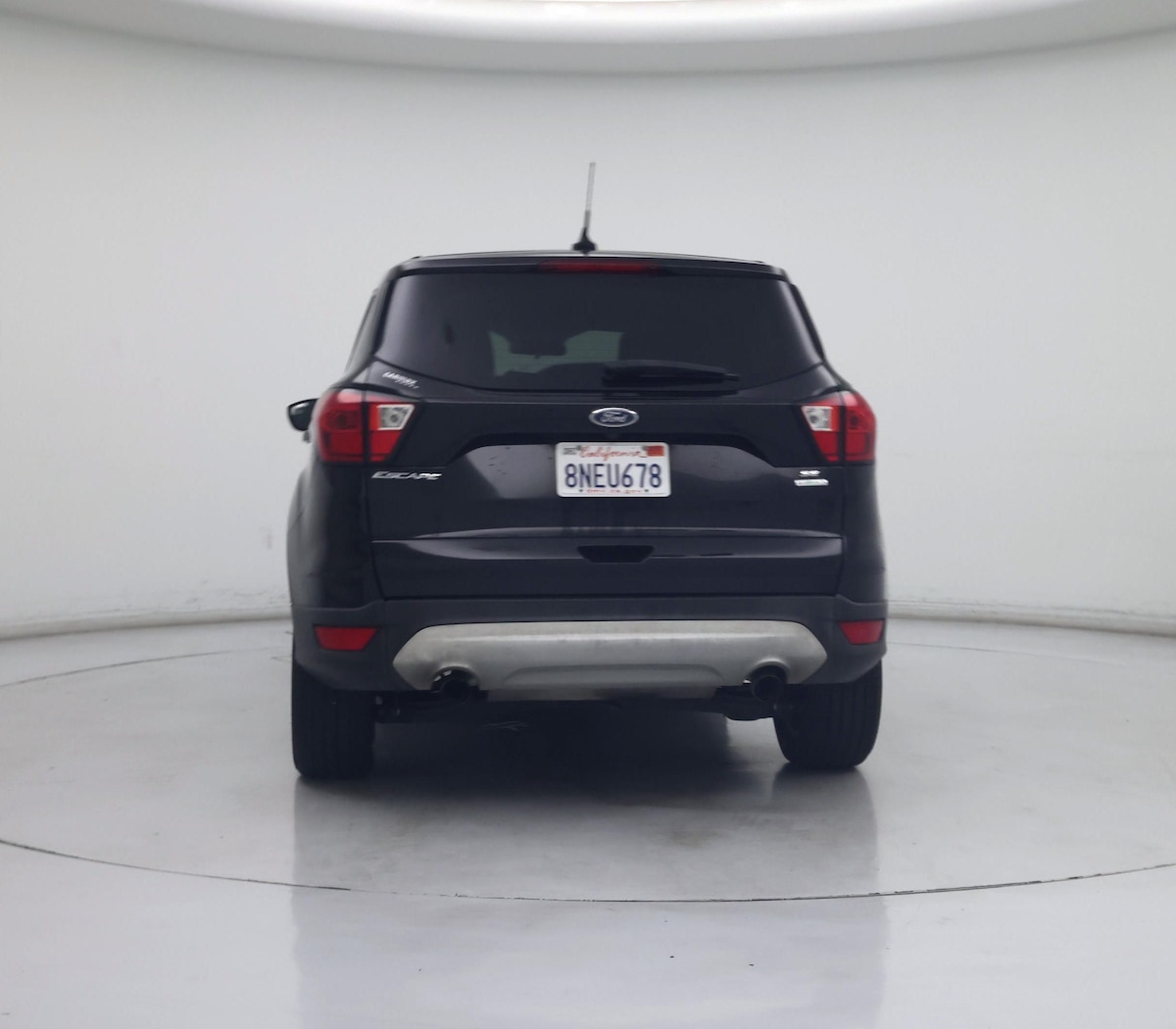 Rear