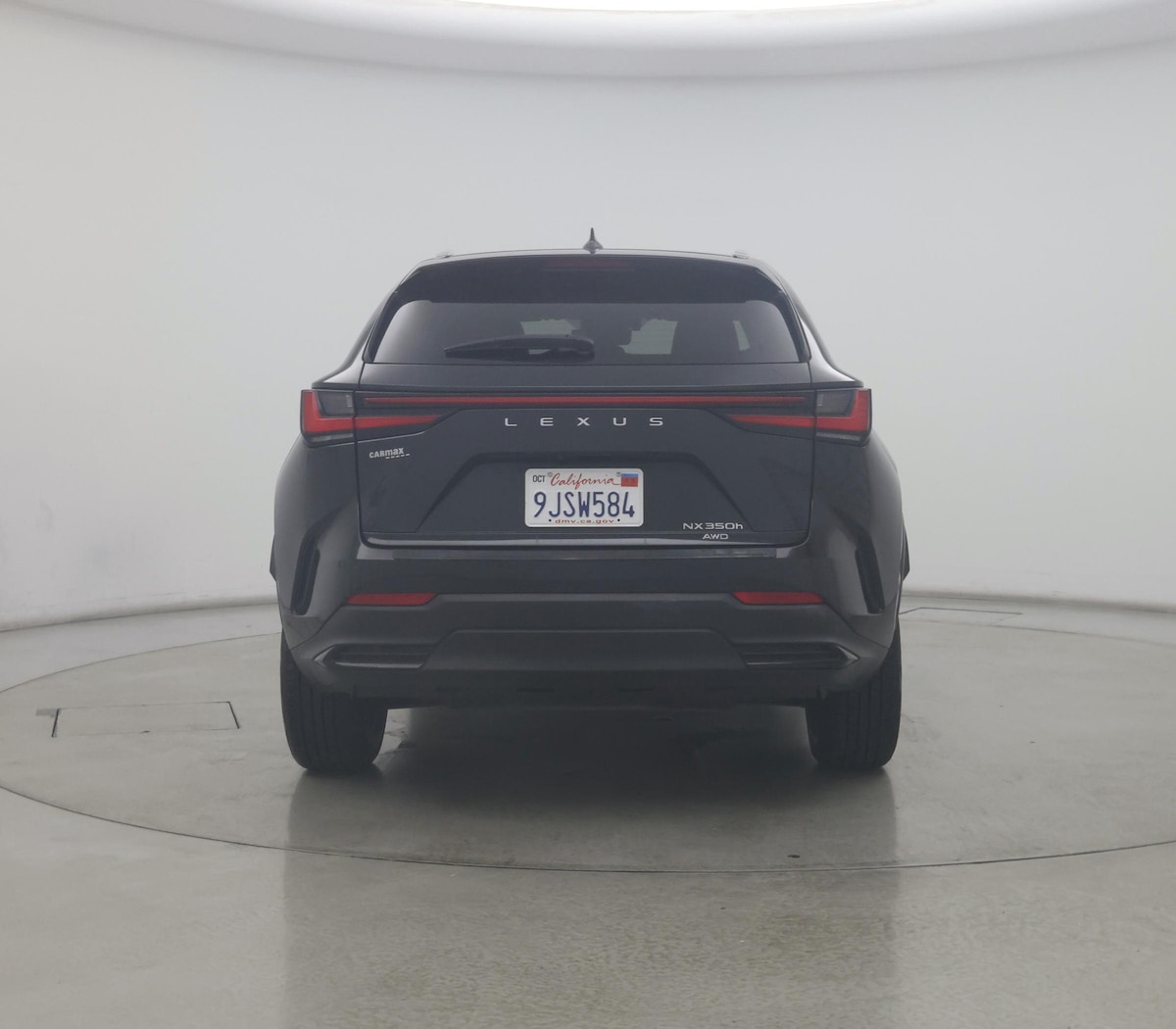 Rear