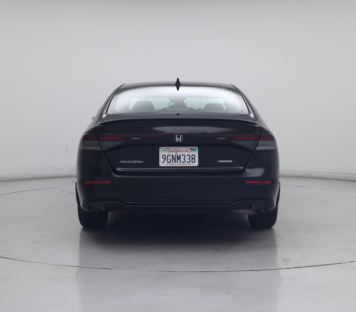 Rear