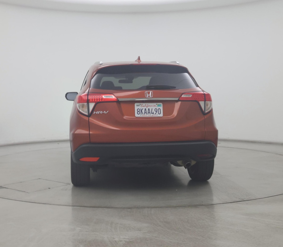 Rear