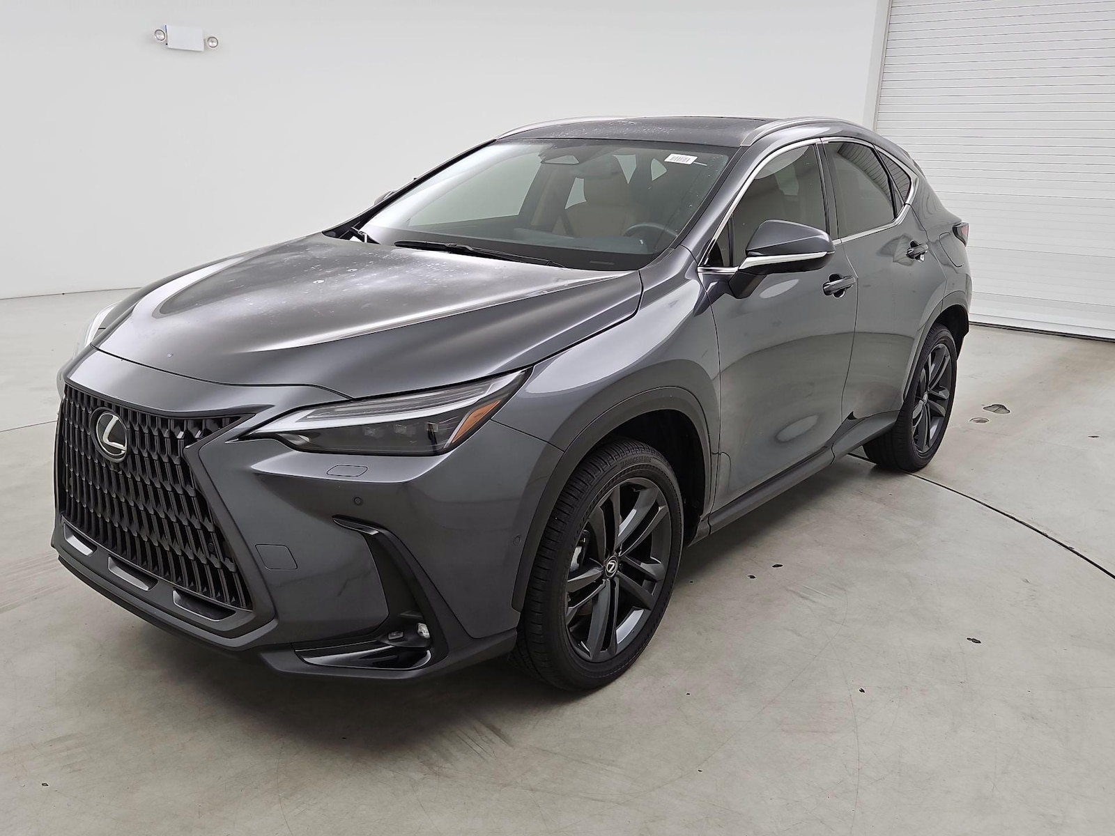2025 Lexus NX PHEV 450h+ - Photo 3