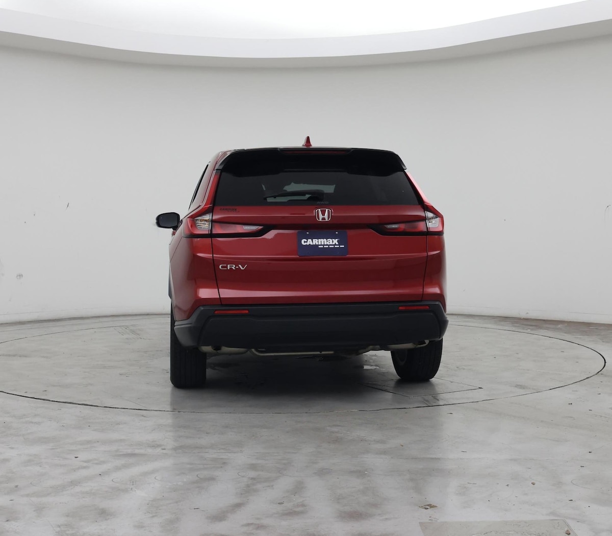 Rear