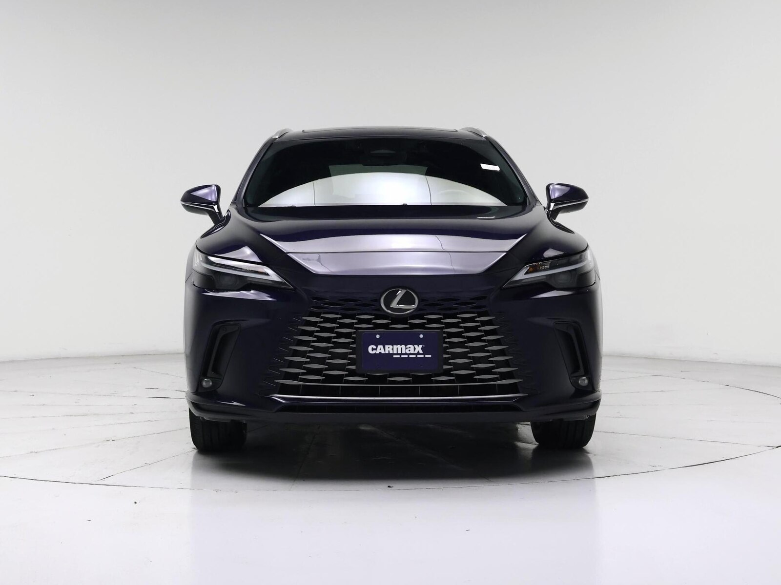 2023 Lexus RX 350 - Photo 6