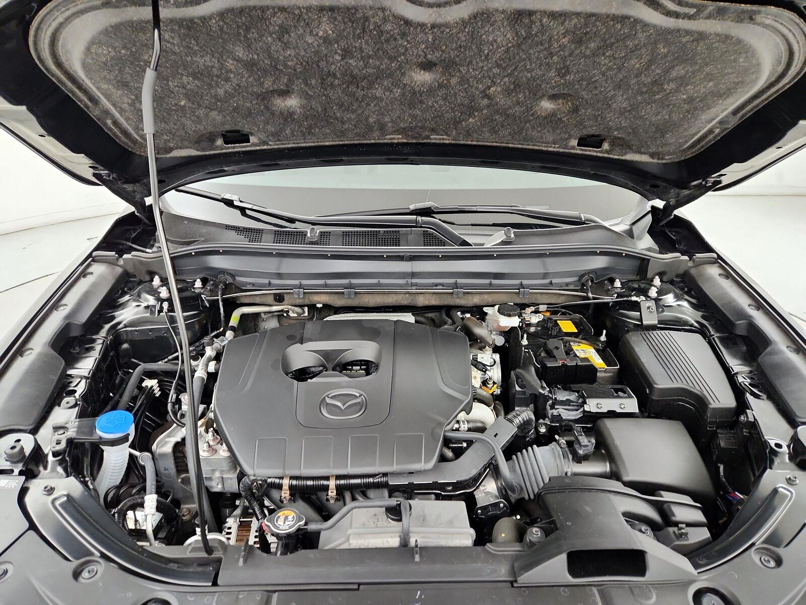 2025 Mazda CX-5 S Premium Plus package - Photo 23