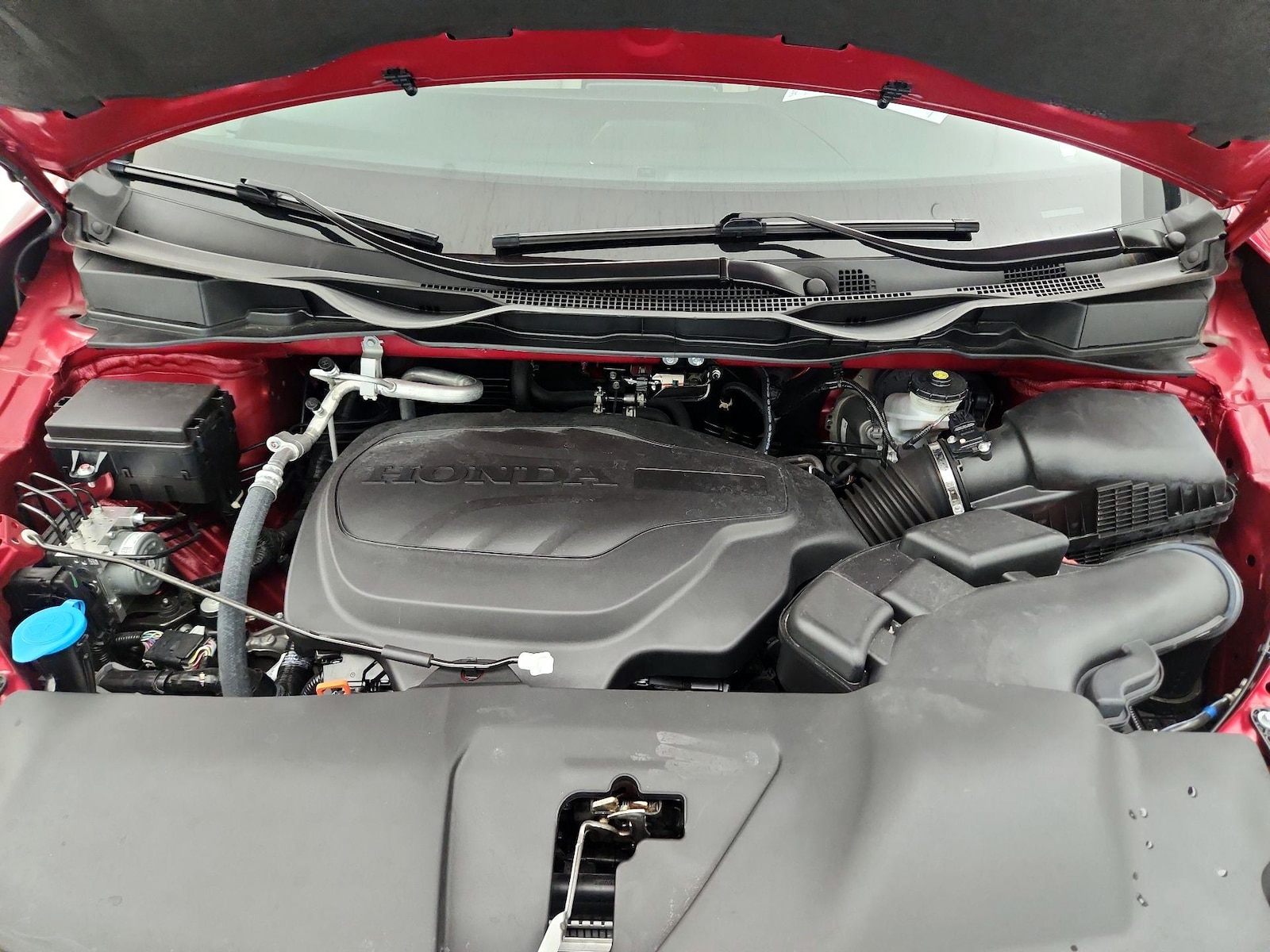 Photo 19