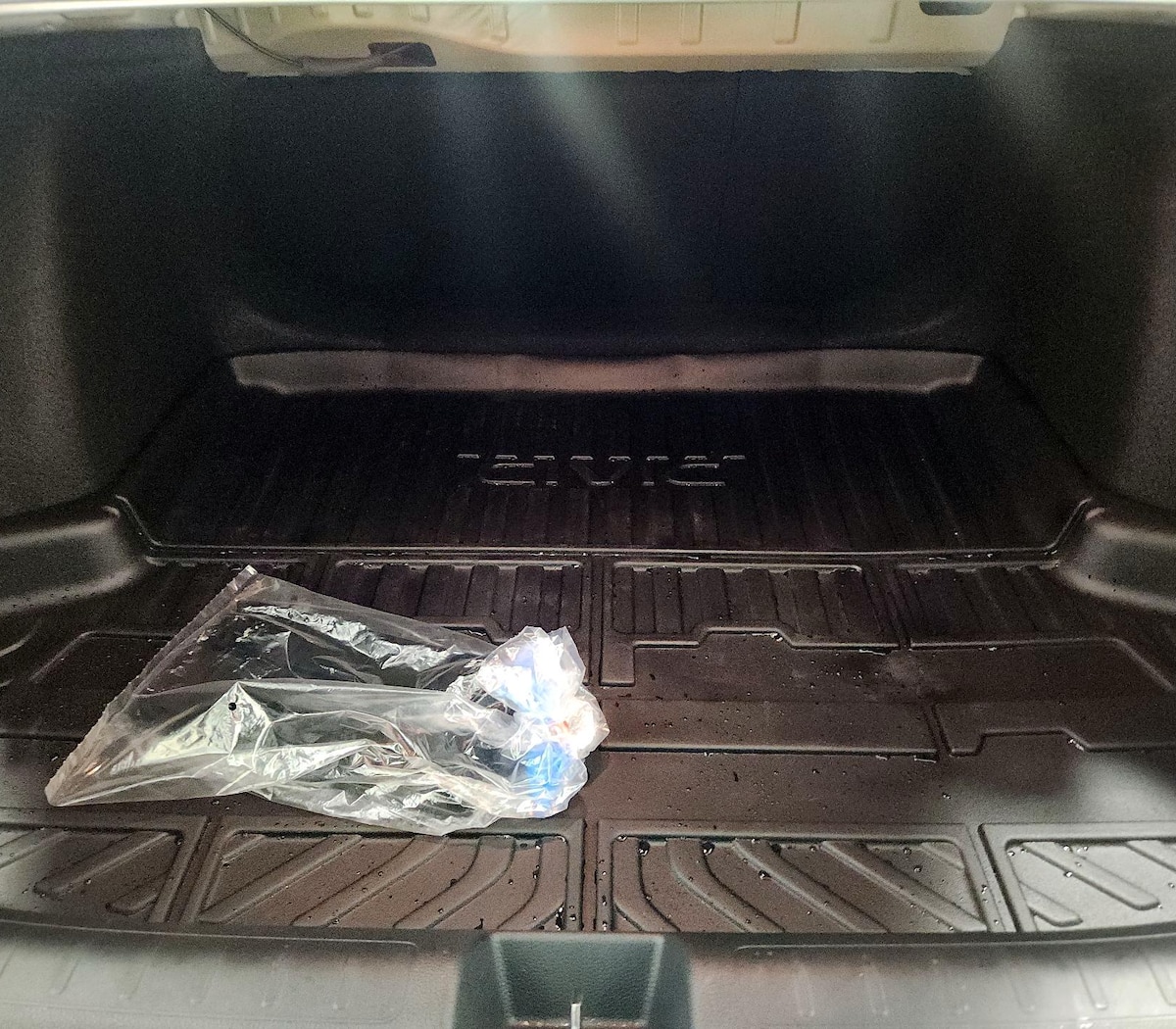Trunk/Cargo (Seats Up)