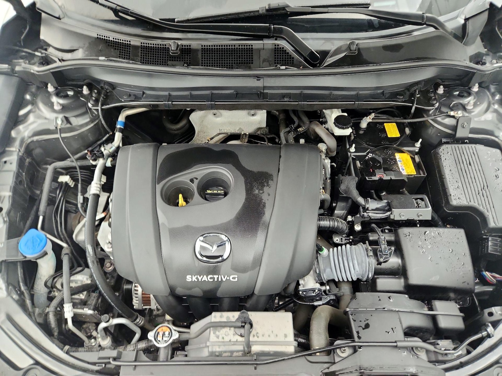 2025 Mazda CX-5 S Preferred package - Photo 22