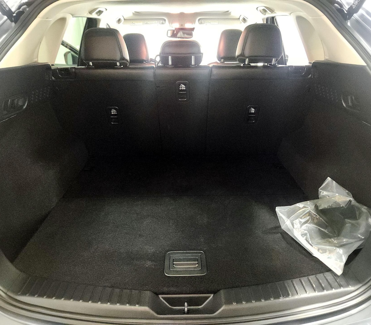 Trunk/Cargo (Seats Up)