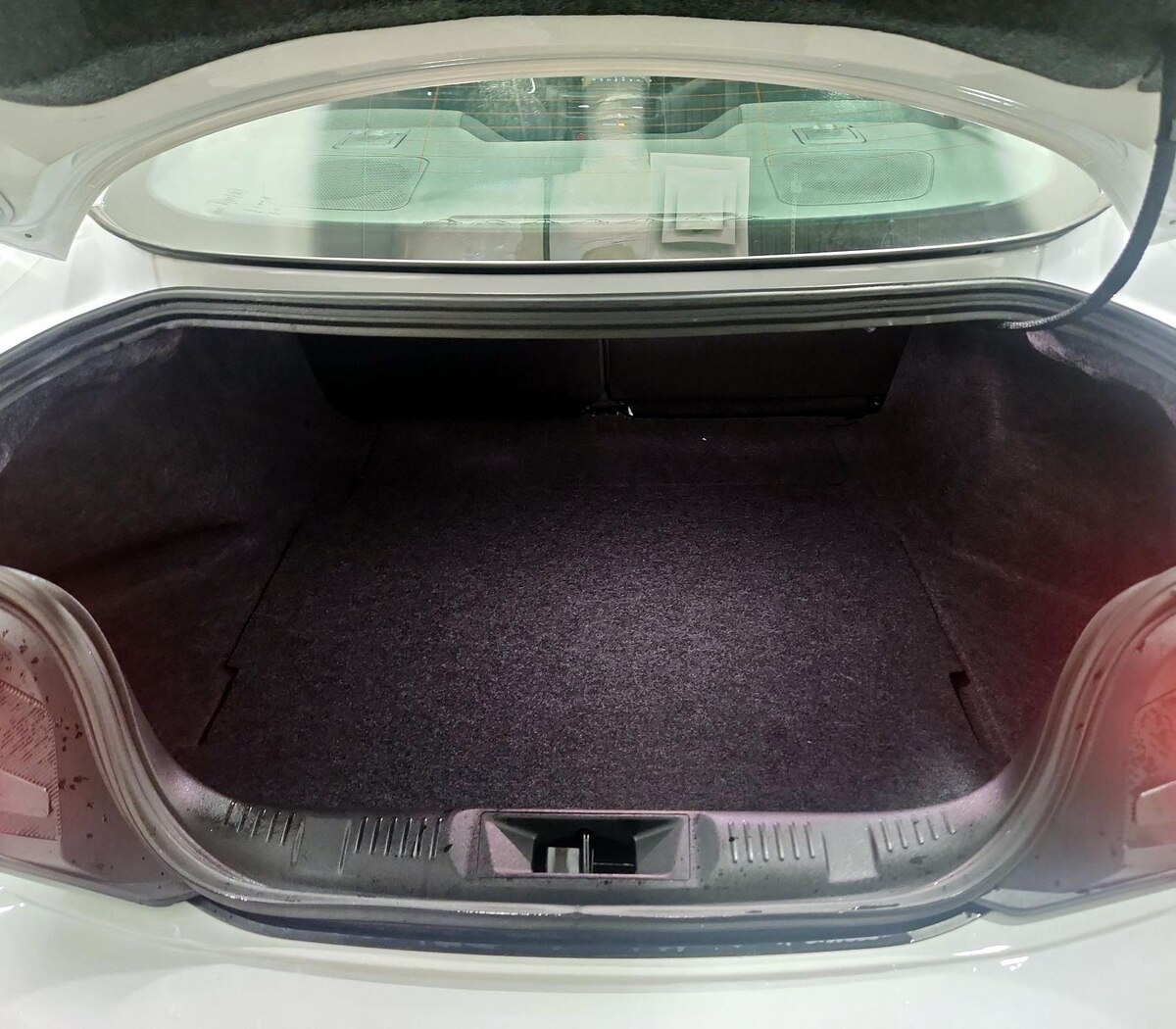 Trunk/Cargo (Seats Up)