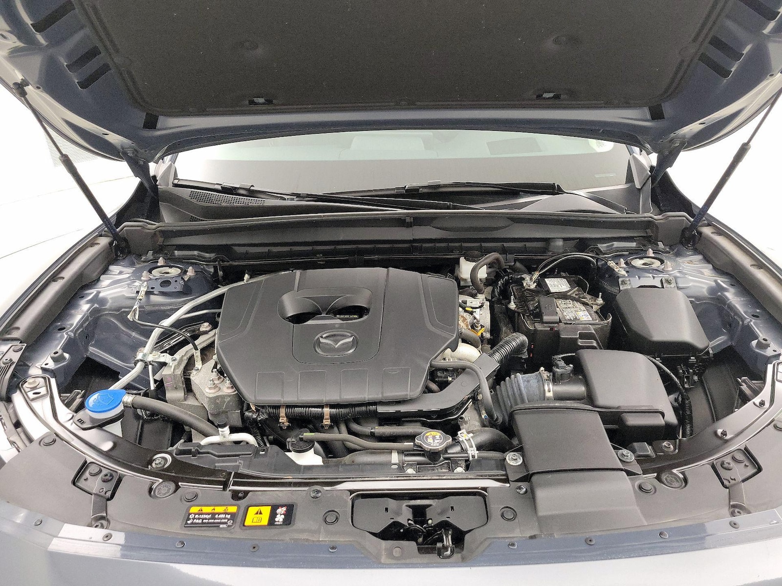 Photo 24