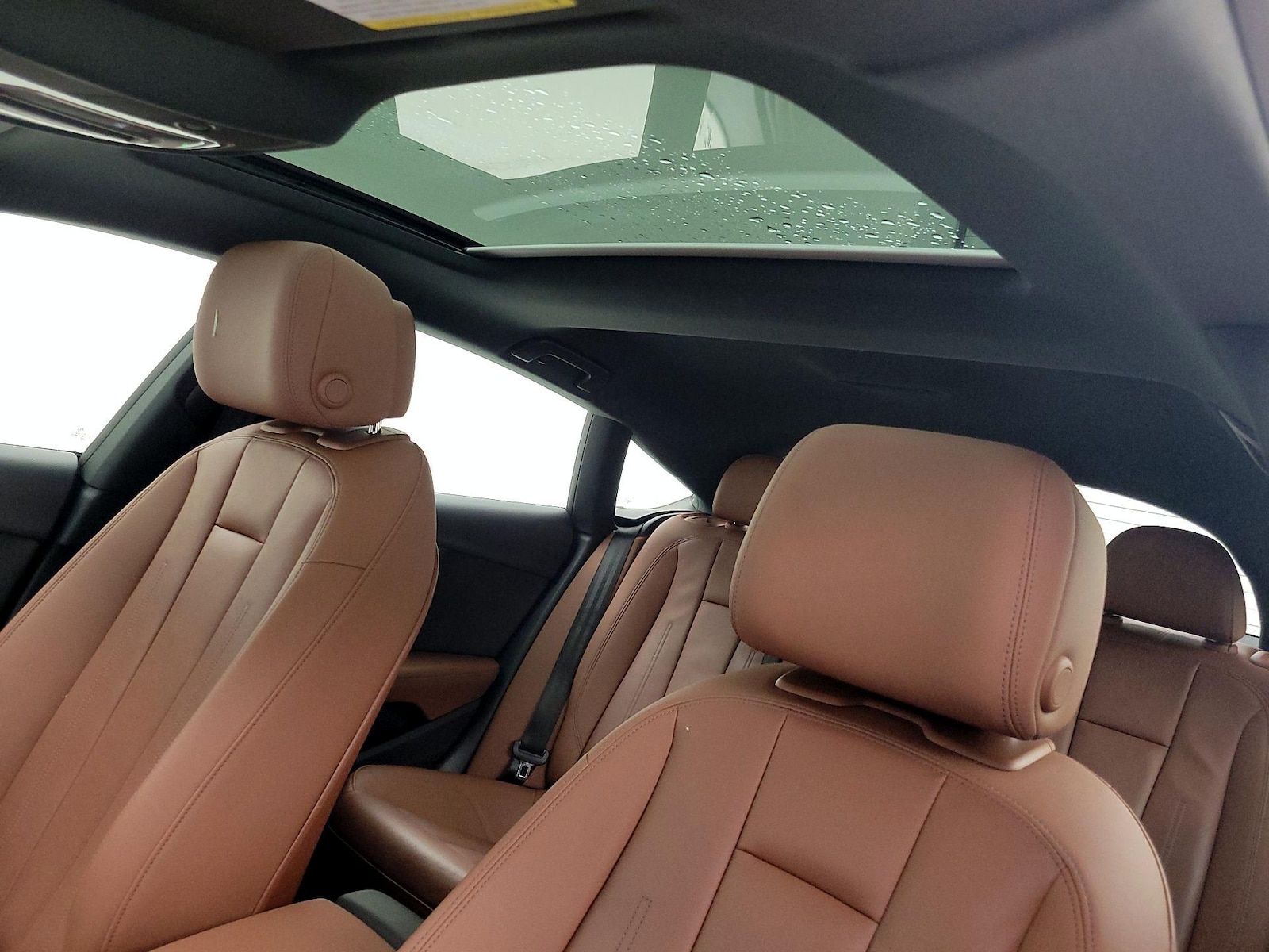 Panoramic Sunroof