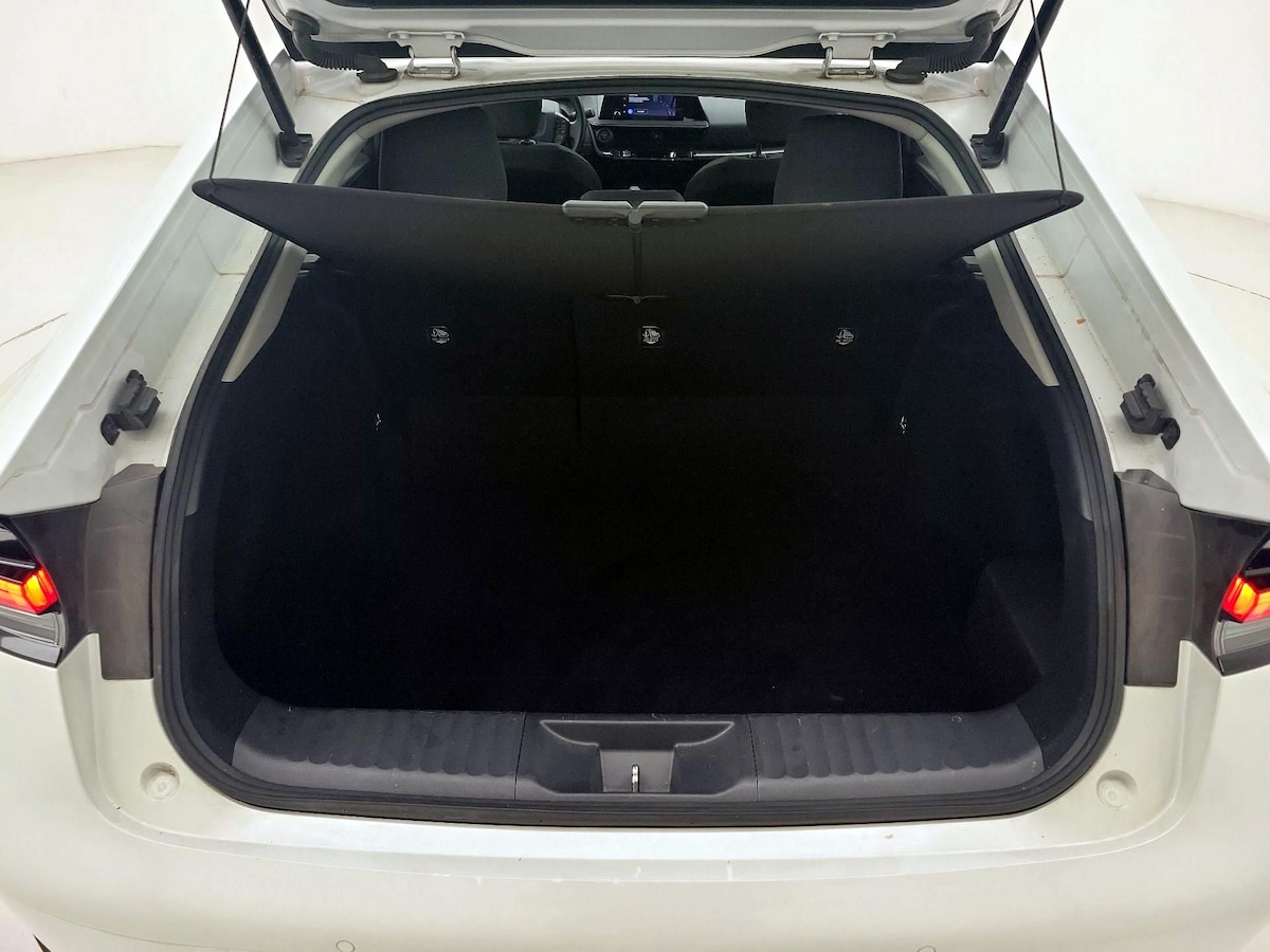Trunk/Cargo (Seats Up)