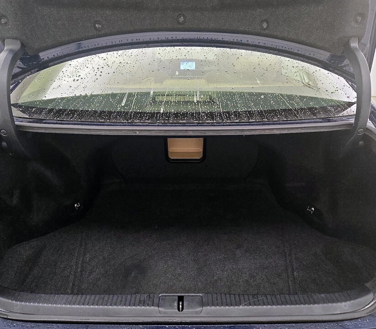 Trunk/Cargo (Seats Up)