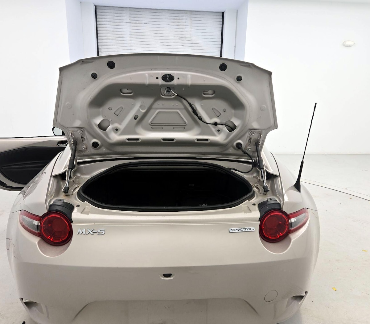 Trunk/Cargo (Seats Up)
