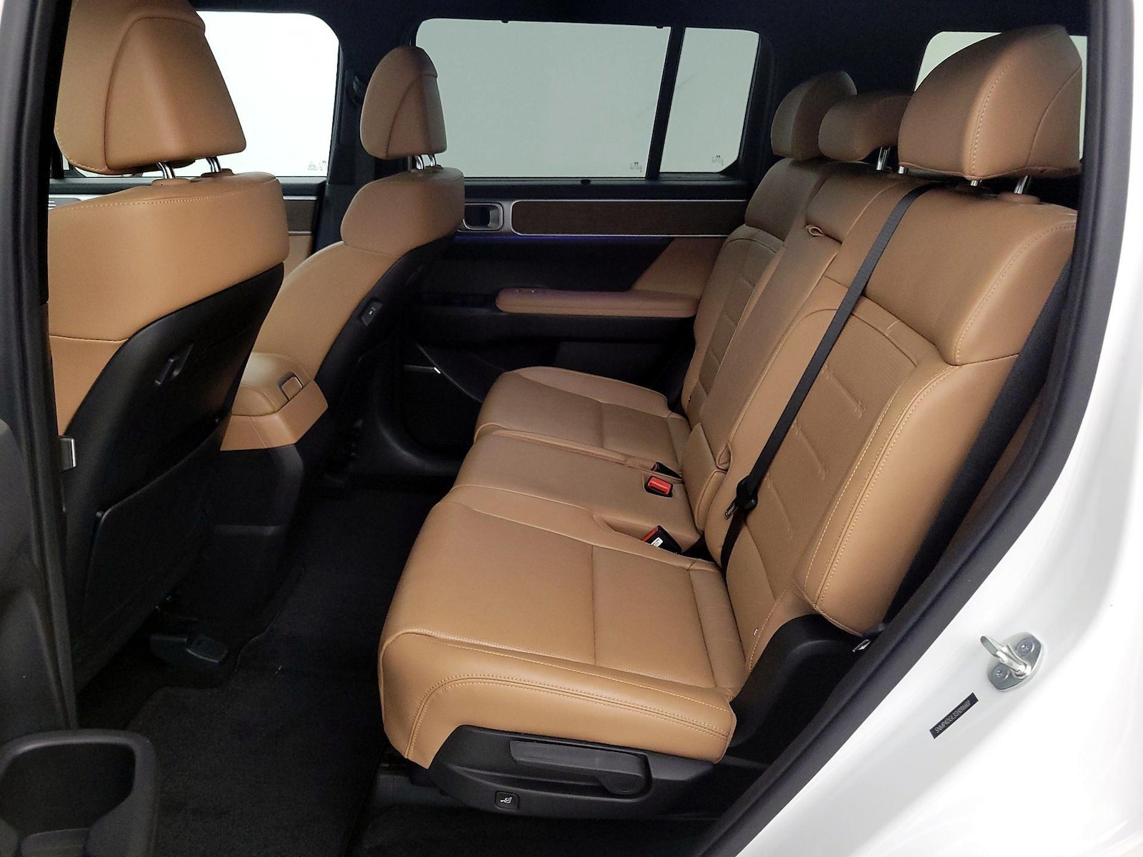 Rear Seat Heaters