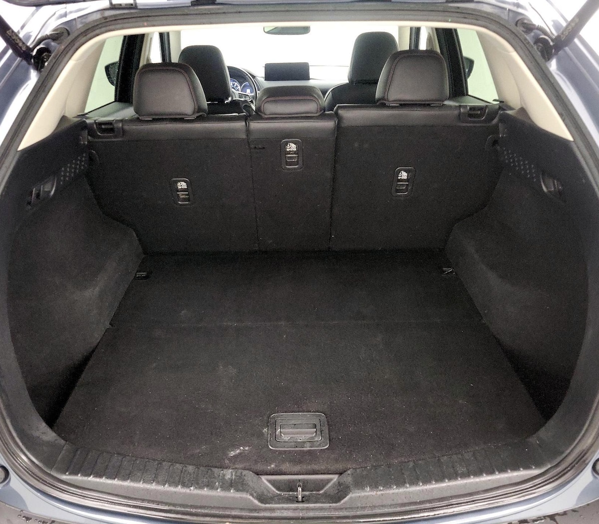 Trunk/Cargo (Seats Up)