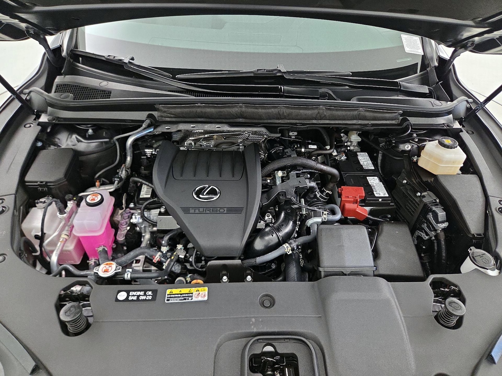 2025 Lexus RX 350 - Photo 24