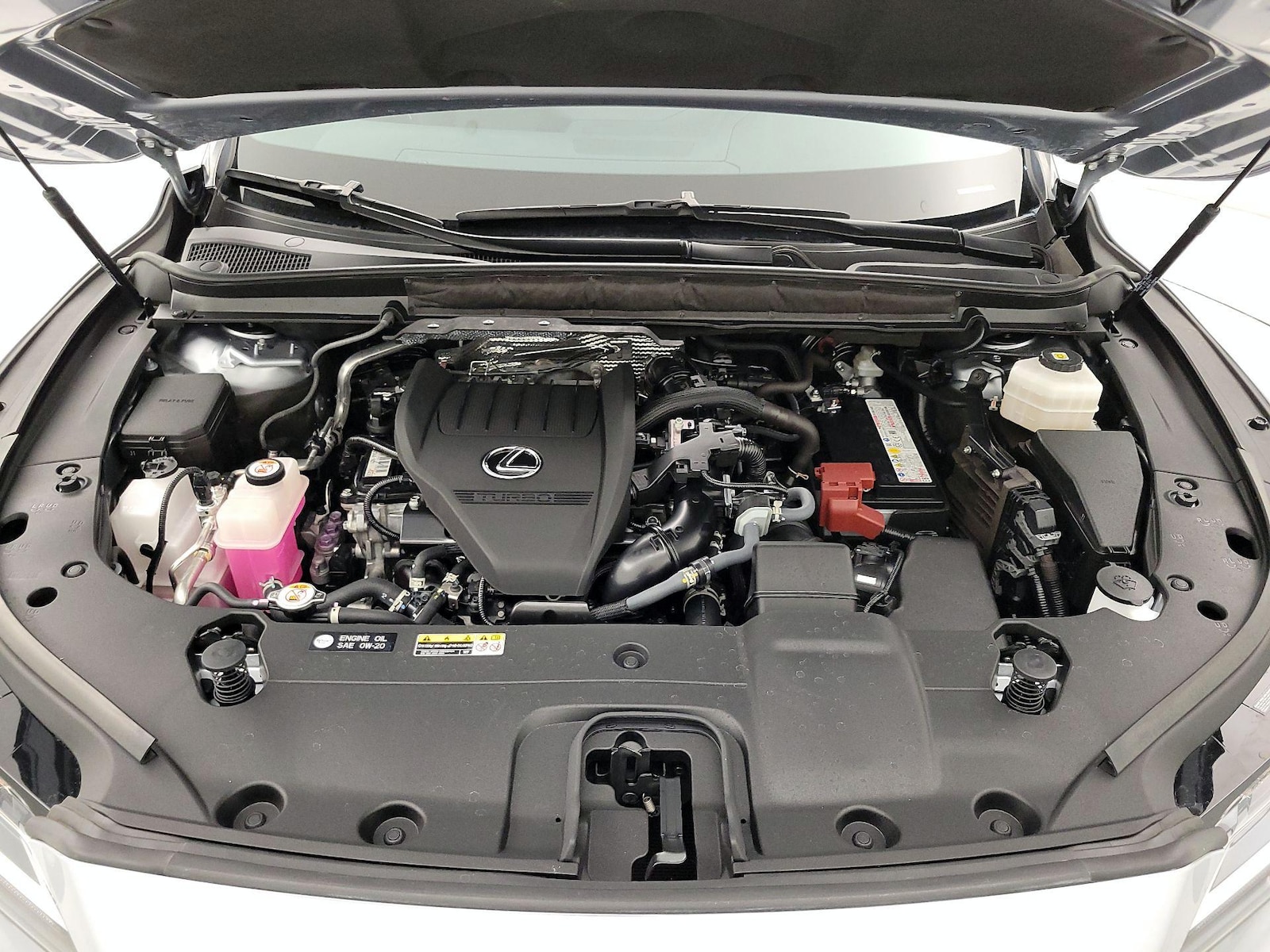 2025 Lexus RX 350 - Photo 23
