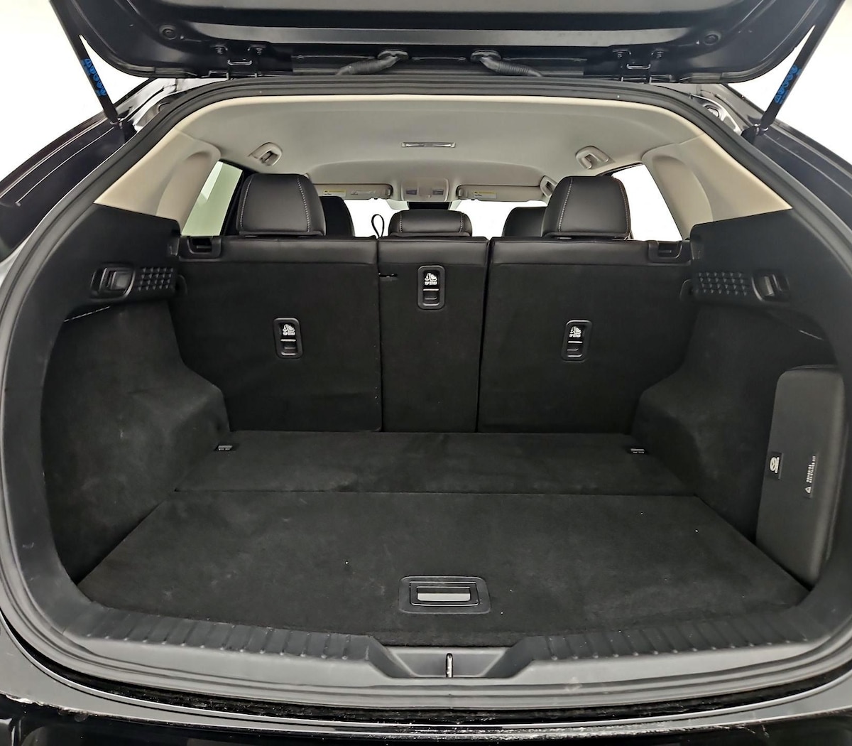 Trunk/Cargo (Seats Up)