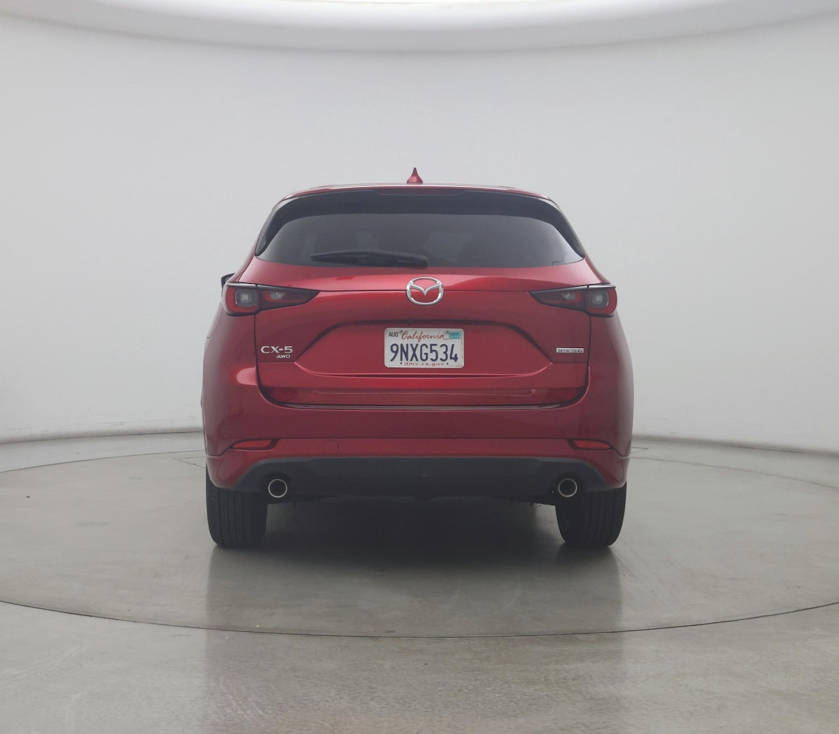 Rear