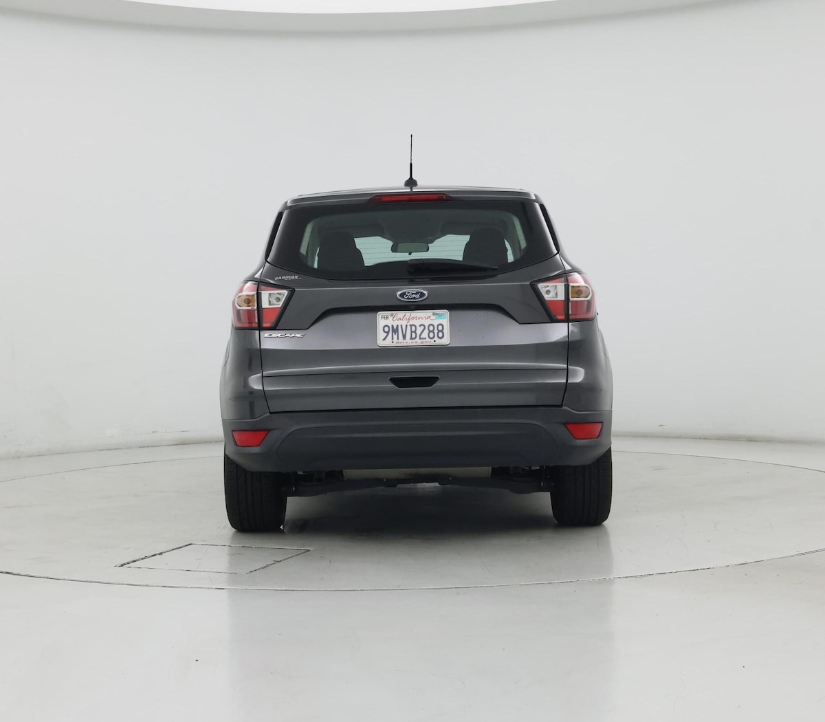 Rear