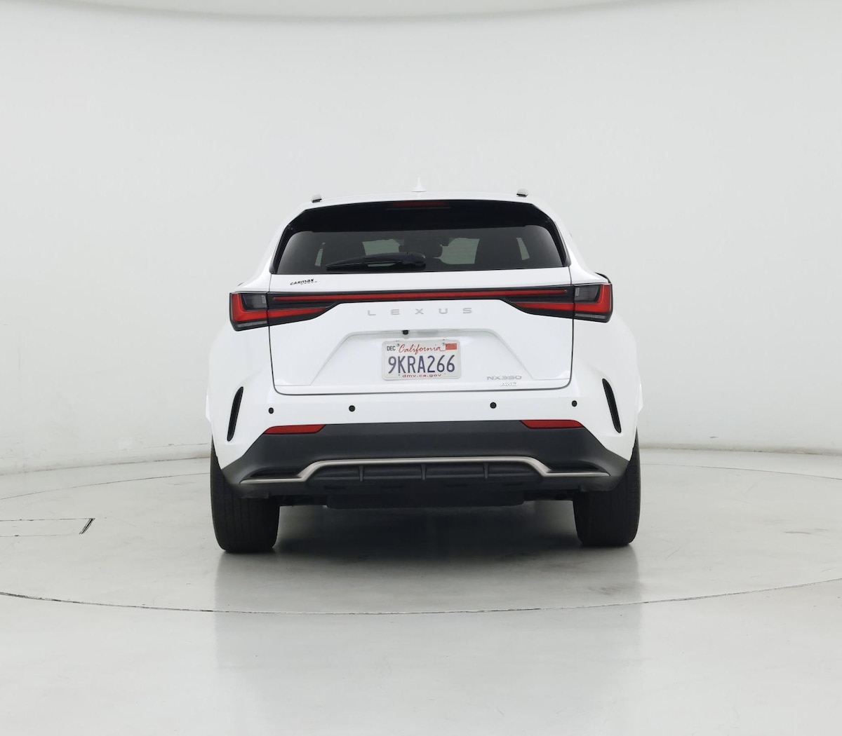 Rear