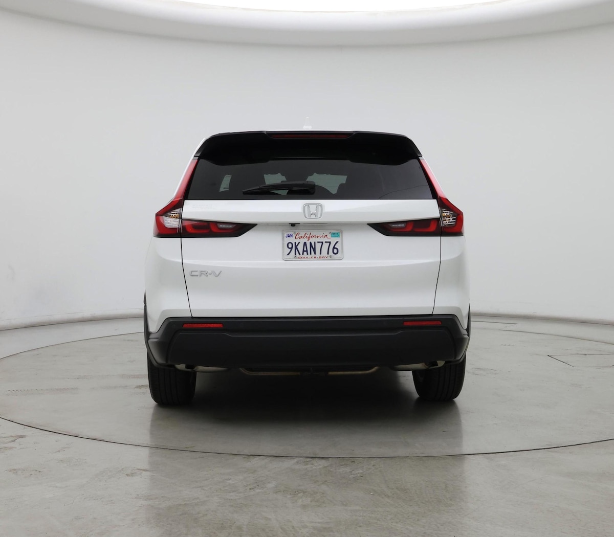 Rear